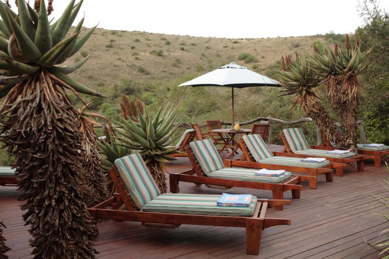Lalibela Game Reserve Lentaba Safari Lodge Paterson Exterior foto